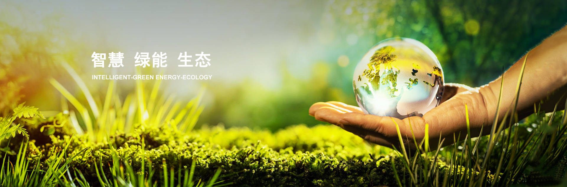 Z6尊龙·凯时(中国)-官方网站